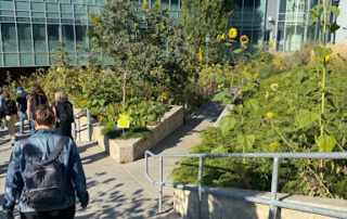 University of Vermont