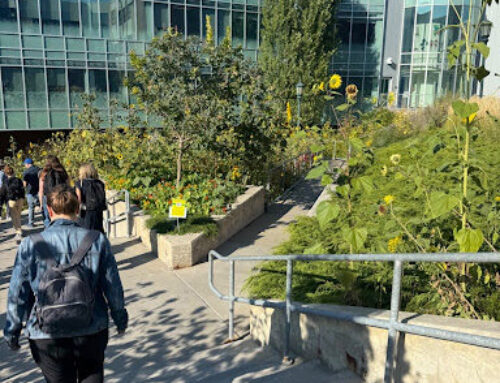 College Review: University of Vermont